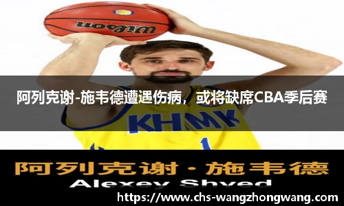 王中王资料大全
